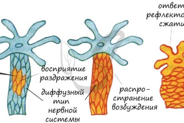 Кракен тор зеркало