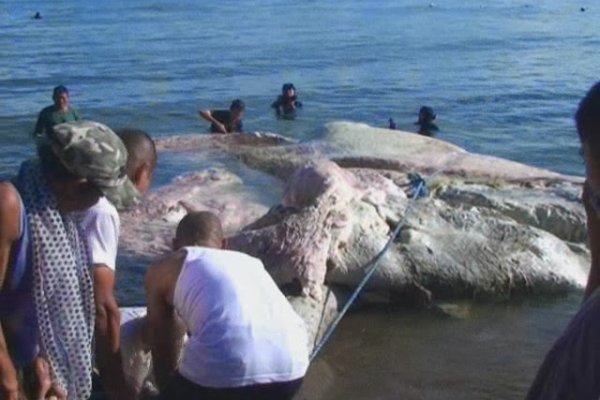 Kraken актуальное